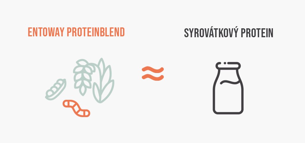 Entoway - Grig - Proteinový shake z hmyzu